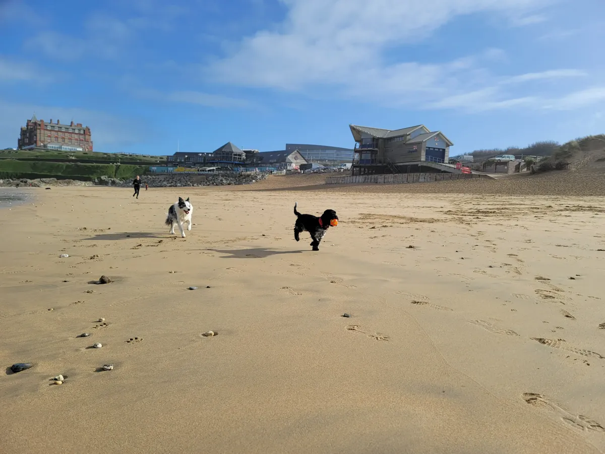 Fistral Beach in Newquay — one of our regular dog walking routes